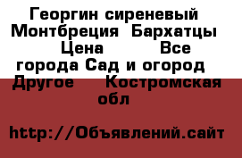 Георгин сиреневый. Монтбреция. Бархатцы.  › Цена ­ 100 - Все города Сад и огород » Другое   . Костромская обл.